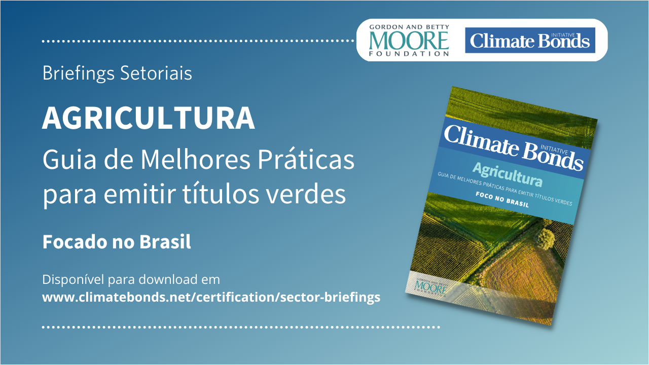 Mercado sustentável no Brasil: como orientar investidores, governos e  administradores de ativos