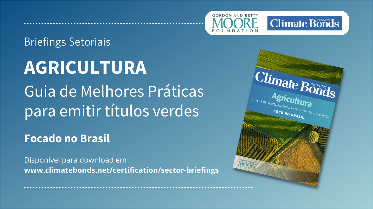 Mercado sustentável no Brasil: como orientar investidores