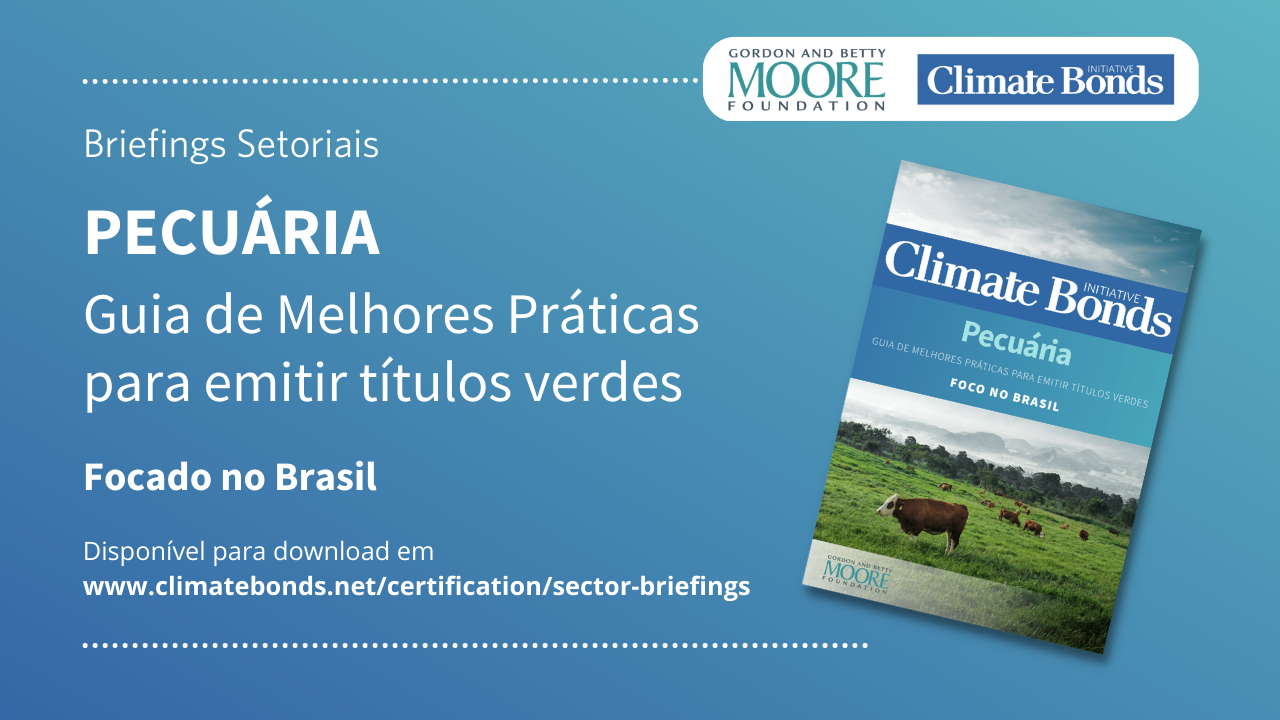 Mercado sustentável no Brasil: como orientar investidores, governos e  administradores de ativos