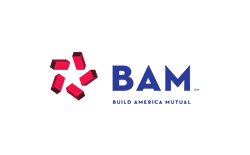 BAM